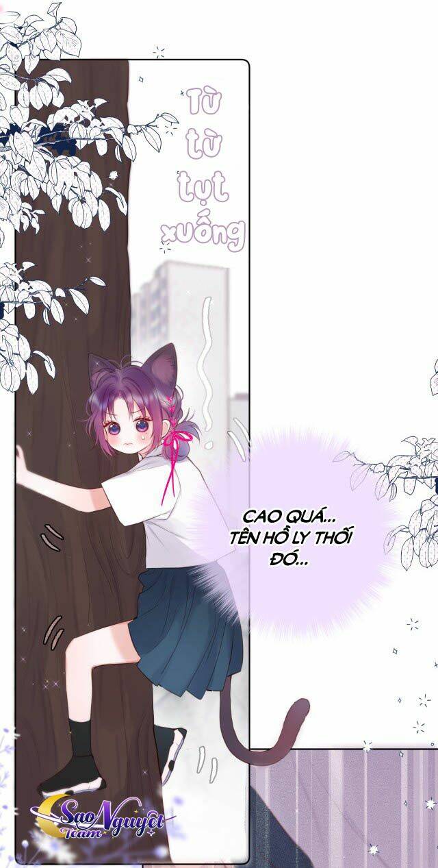 Cạm Bẫy Của Hồ Ly: Chapter 4