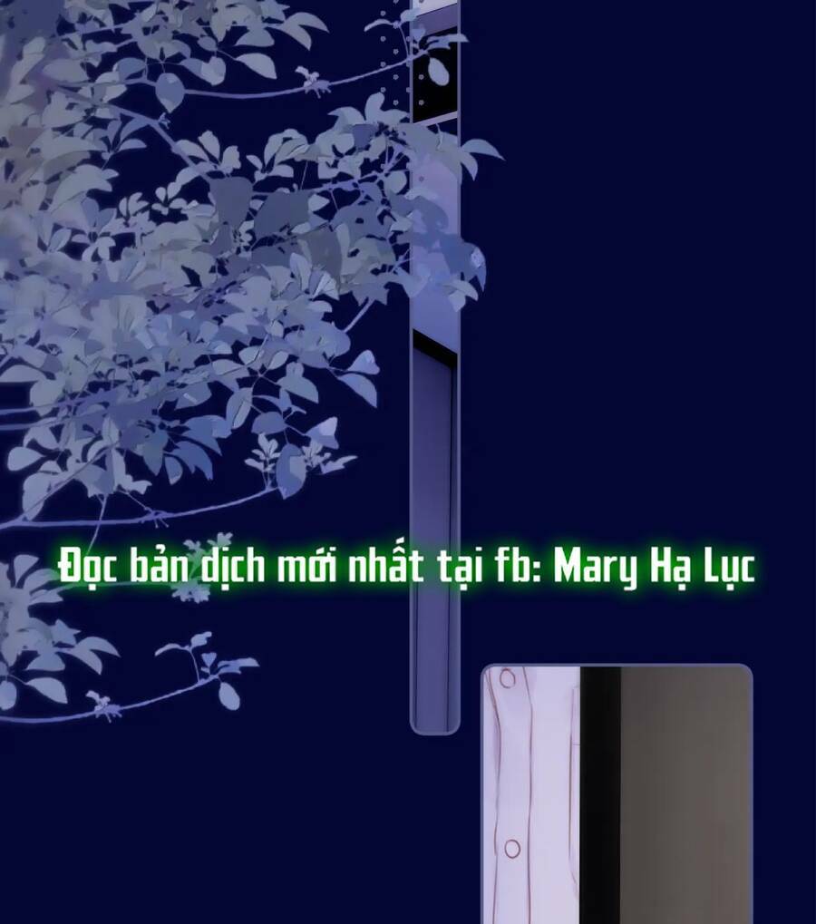 Cạm Bẫy Của Hồ Ly: Chapter 41.1