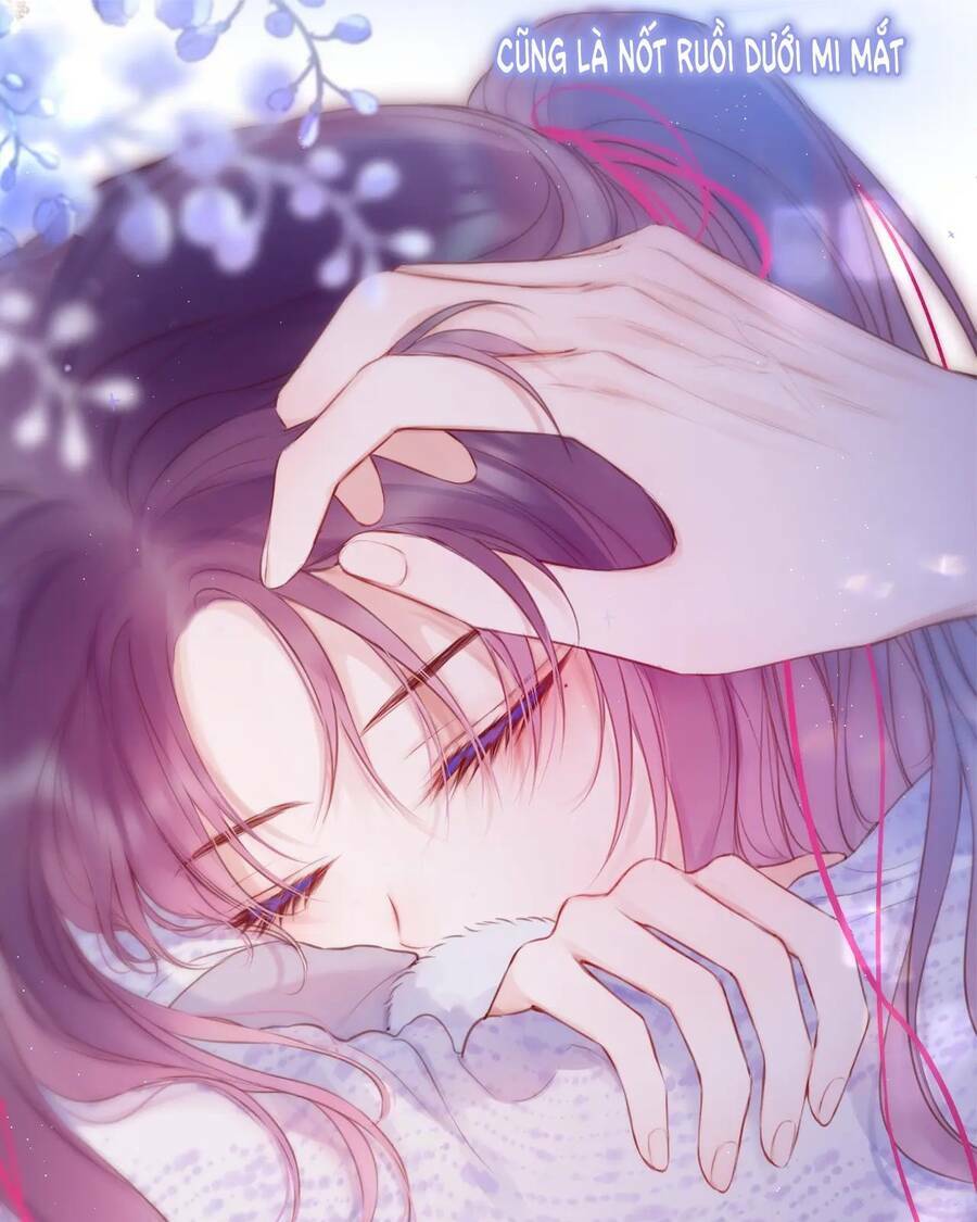 Cạm Bẫy Của Hồ Ly: Chapter 41.2
