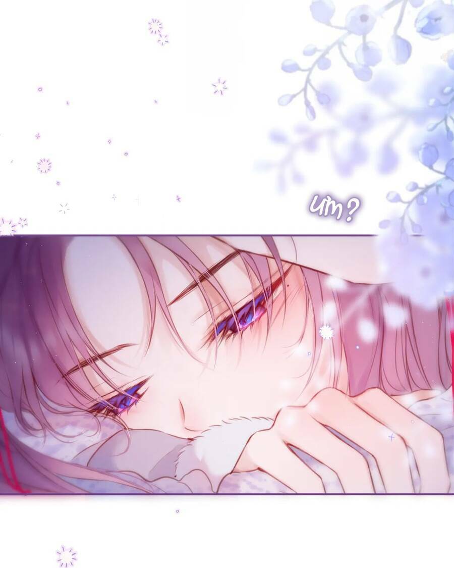 Cạm Bẫy Của Hồ Ly: Chapter 41.2