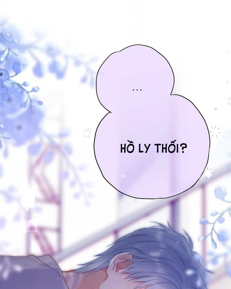 Cạm Bẫy Của Hồ Ly: Chapter 41.2