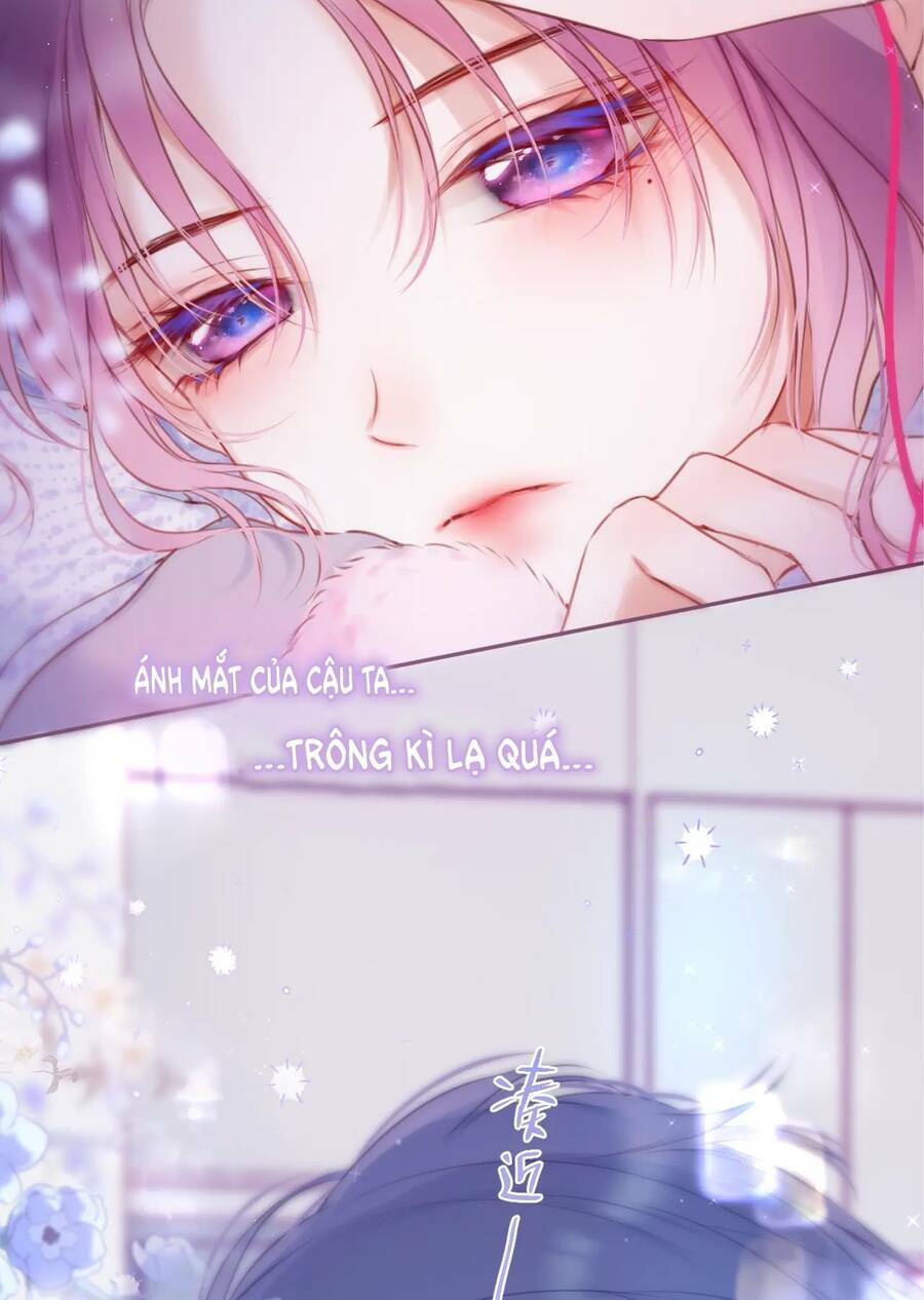 Cạm Bẫy Của Hồ Ly: Chapter 41.2