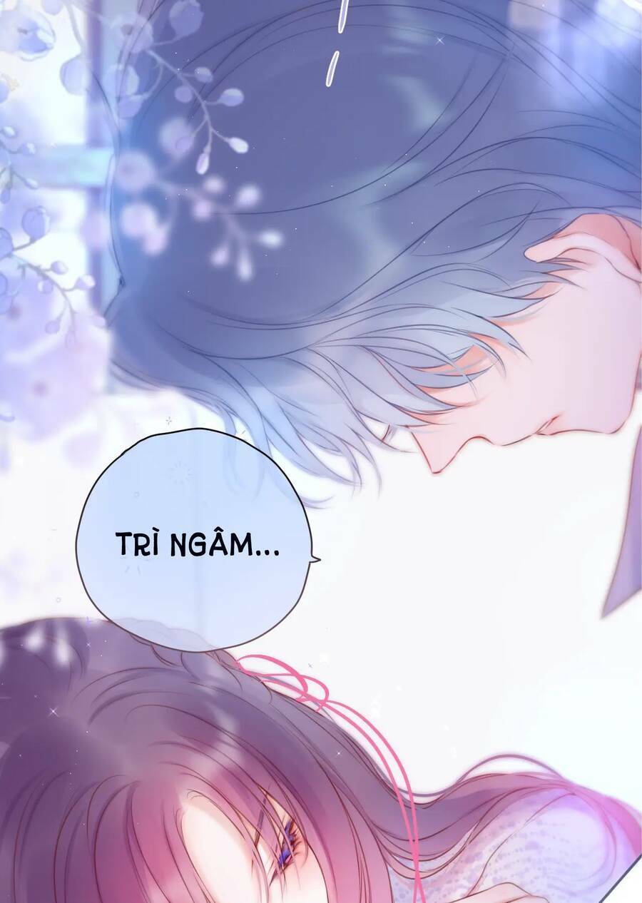 Cạm Bẫy Của Hồ Ly: Chapter 41.2