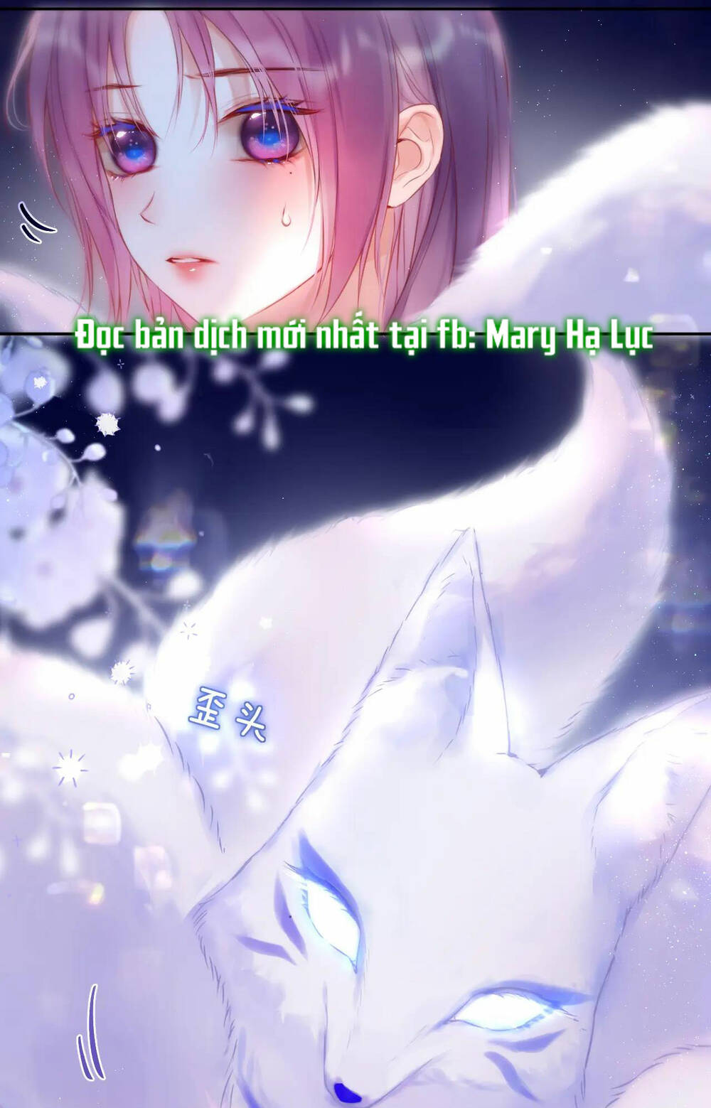 Cạm Bẫy Của Hồ Ly: Chapter 42.1