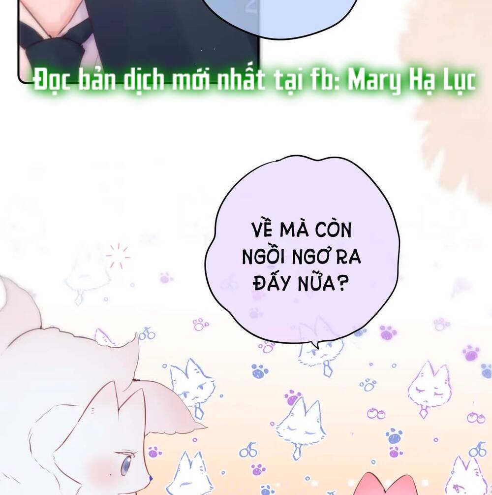 Cạm Bẫy Của Hồ Ly: Chapter 47