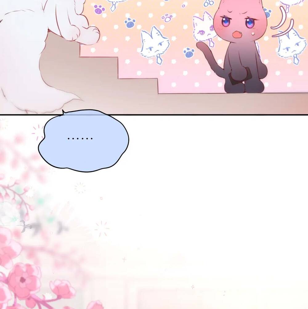 Cạm Bẫy Của Hồ Ly: Chapter 47