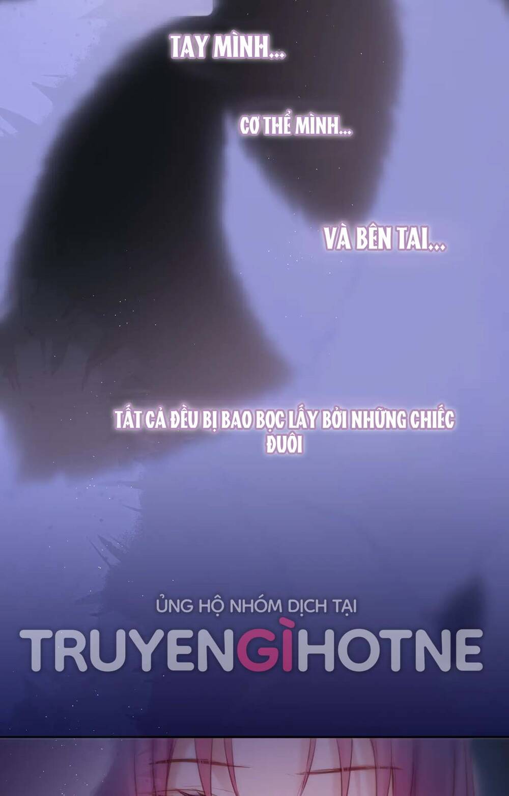 Cạm Bẫy Của Hồ Ly: Chapter 47