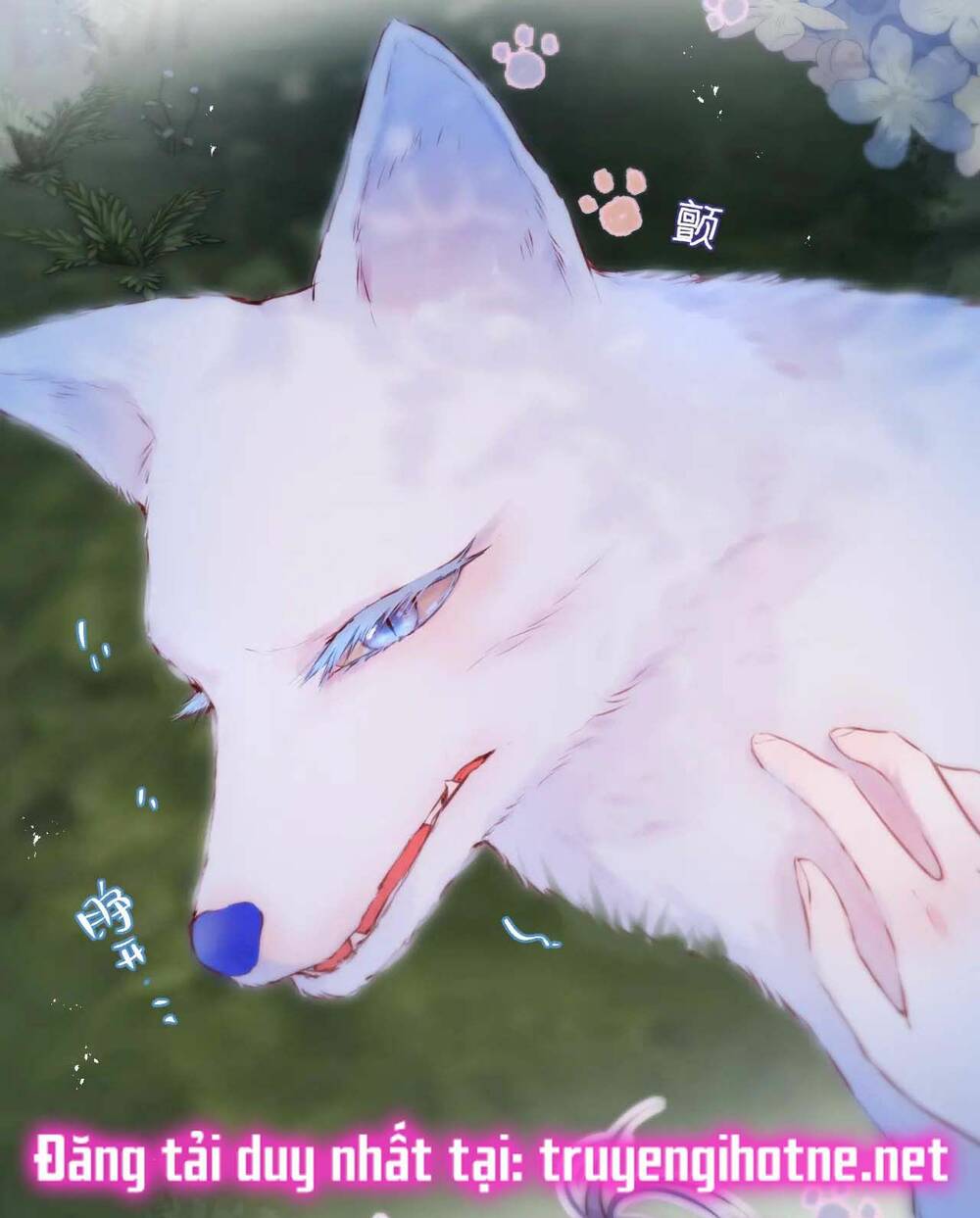 Cạm Bẫy Của Hồ Ly: Chapter 49