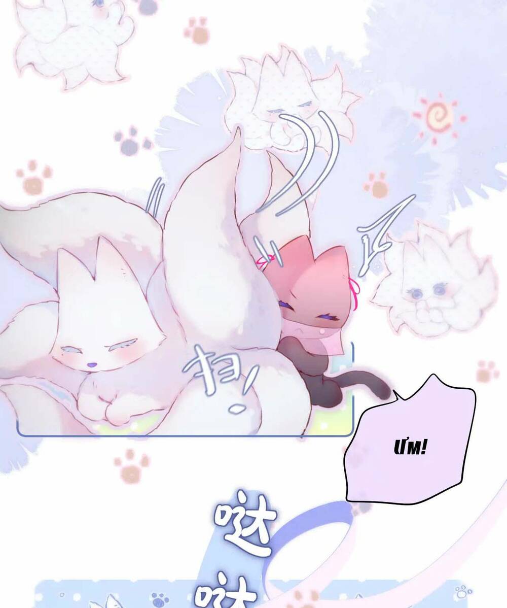 Cạm Bẫy Của Hồ Ly: Chapter 49