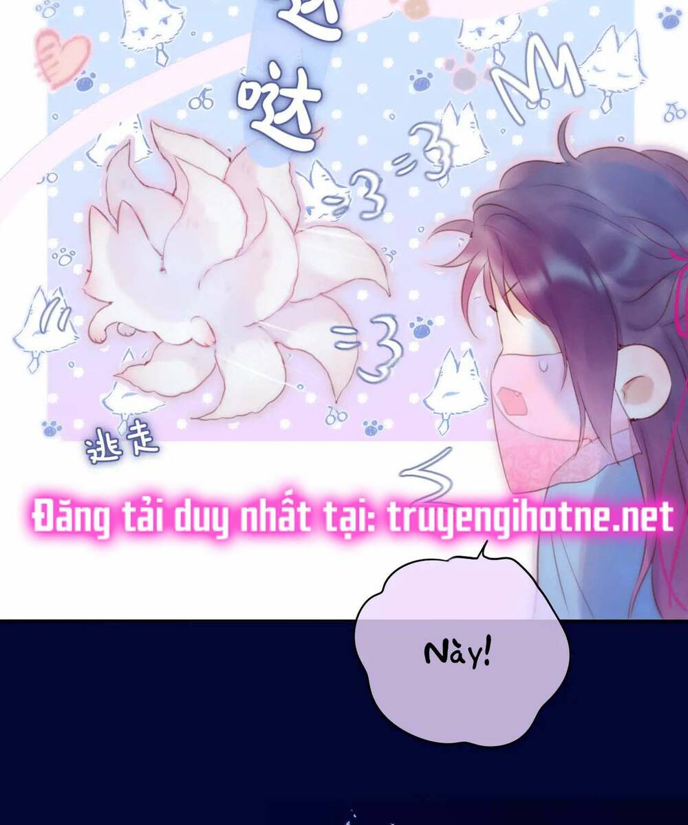 Cạm Bẫy Của Hồ Ly: Chapter 49