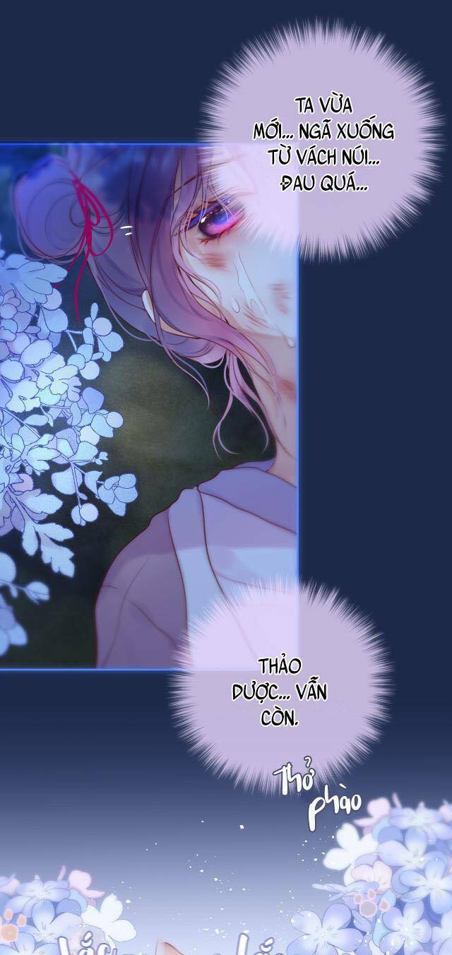 Cạm Bẫy Của Hồ Ly: Chapter 50