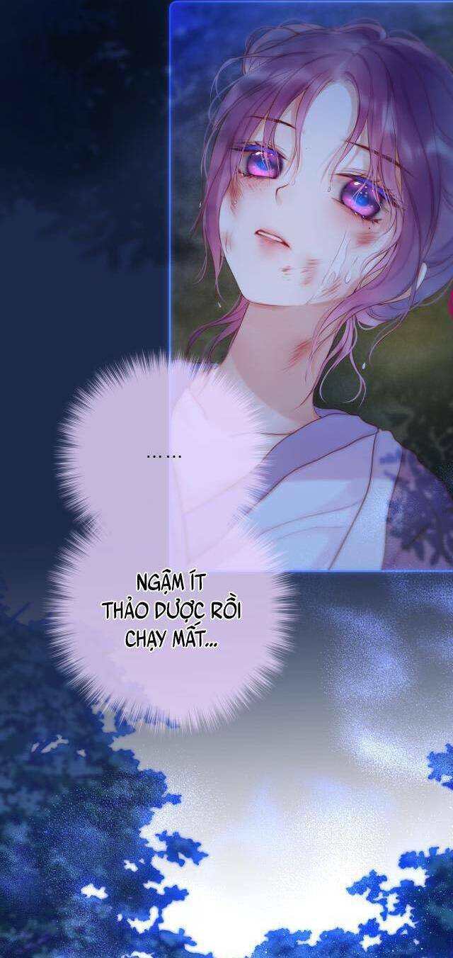Cạm Bẫy Của Hồ Ly: Chapter 50