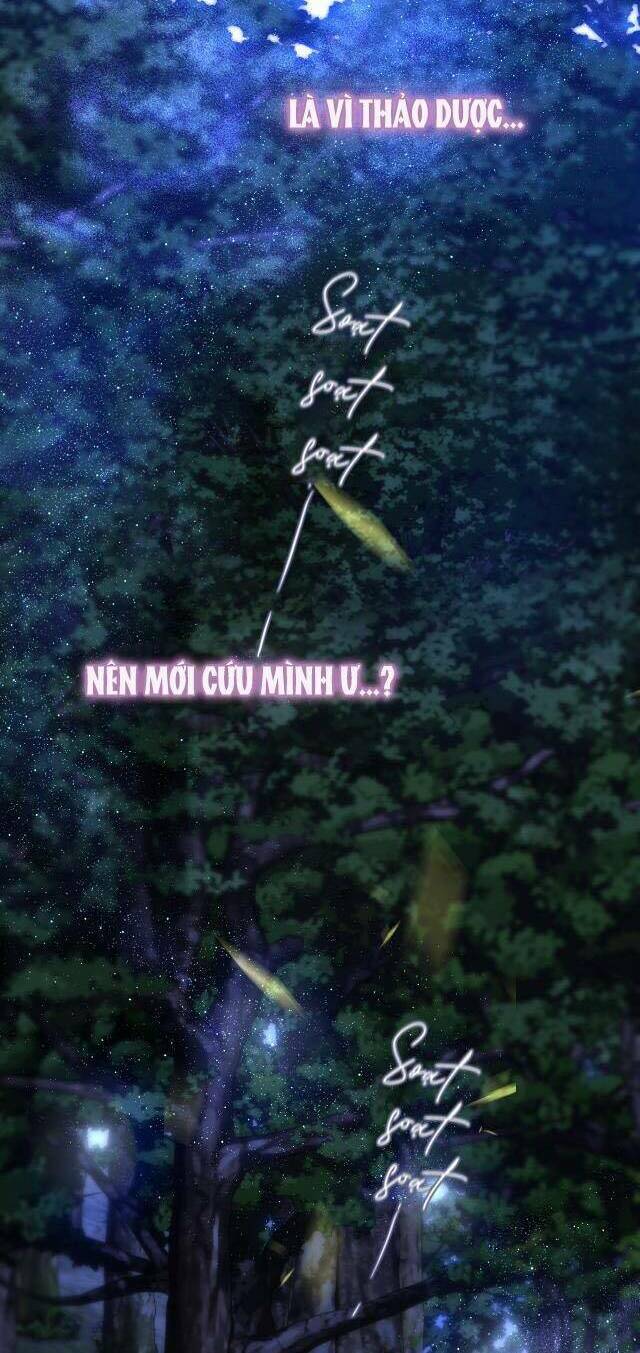 Cạm Bẫy Của Hồ Ly: Chapter 50