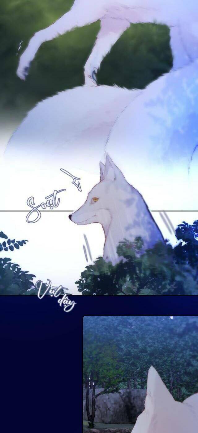Cạm Bẫy Của Hồ Ly: Chapter 50