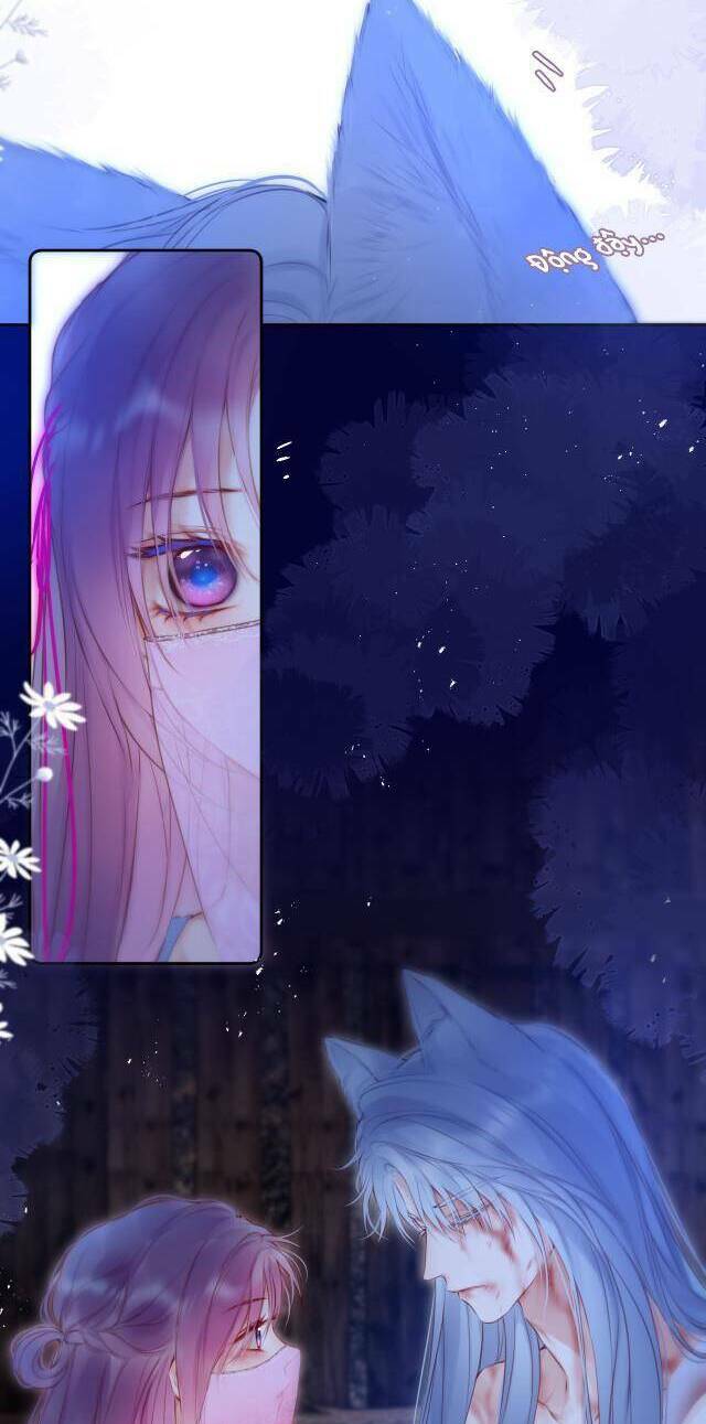 Cạm Bẫy Của Hồ Ly: Chapter 52