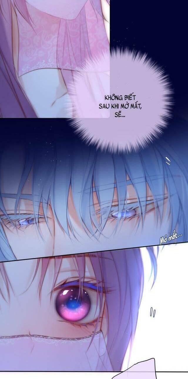 Cạm Bẫy Của Hồ Ly: Chapter 52