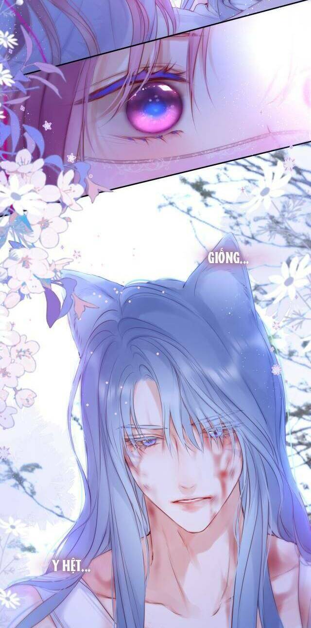 Cạm Bẫy Của Hồ Ly: Chapter 52