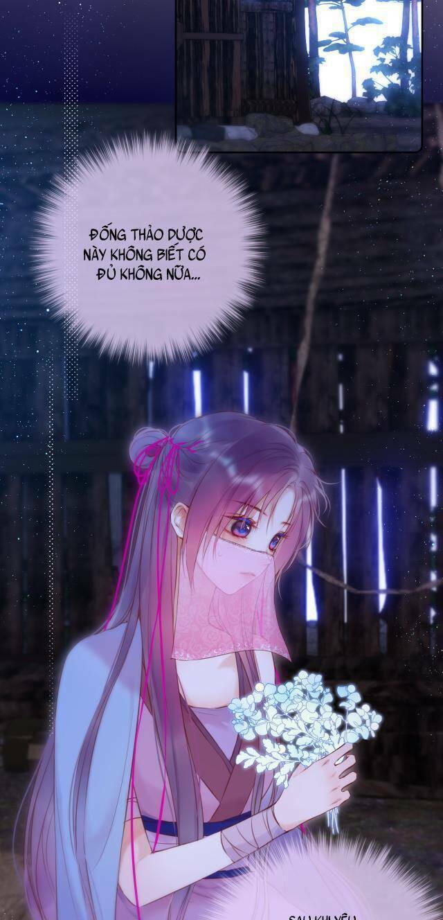Cạm Bẫy Của Hồ Ly: Chapter 52