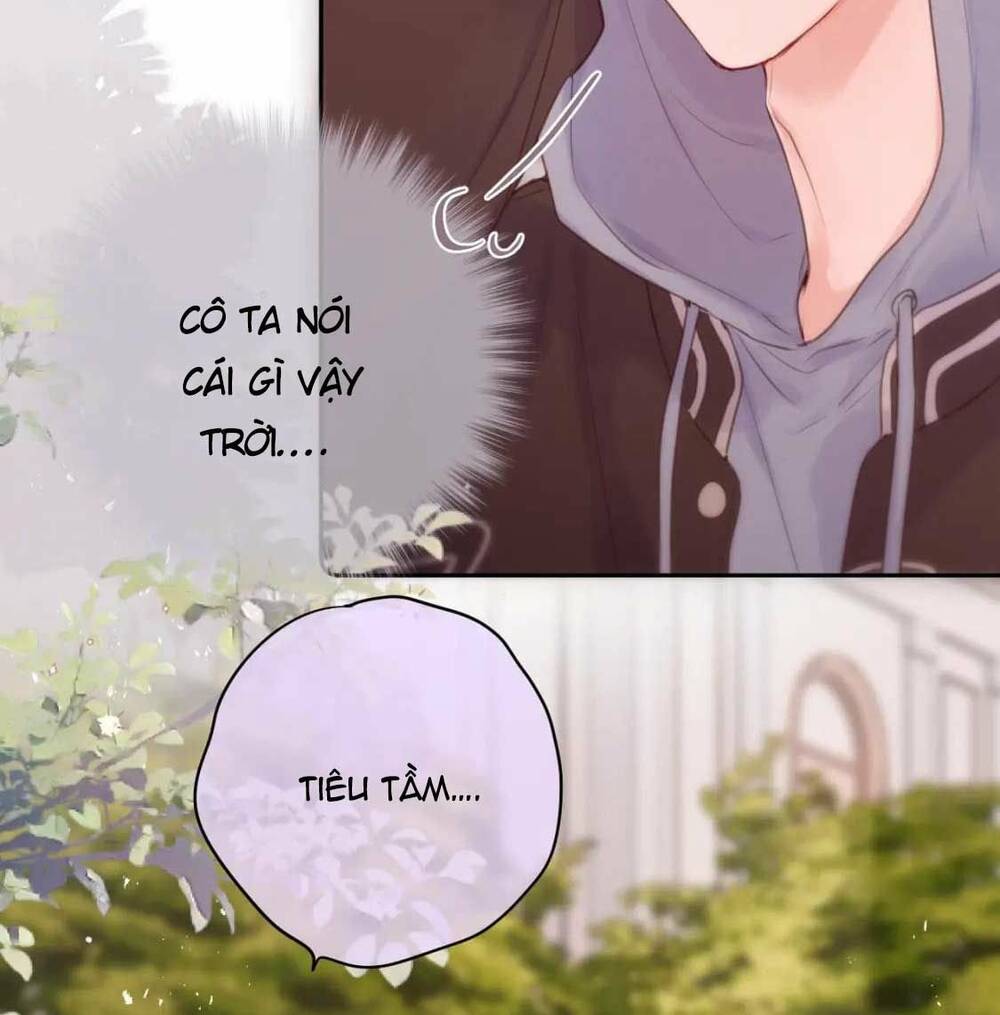 Cạm Bẫy Của Hồ Ly: Chapter 61