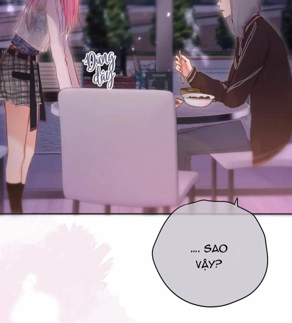 Cạm Bẫy Của Hồ Ly: Chapter 64
