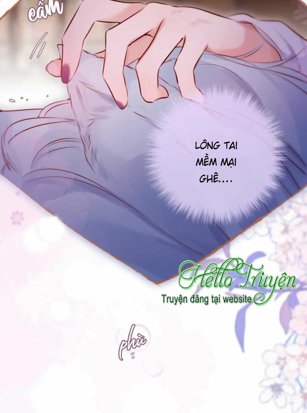Cạm Bẫy Của Hồ Ly: Chapter 66