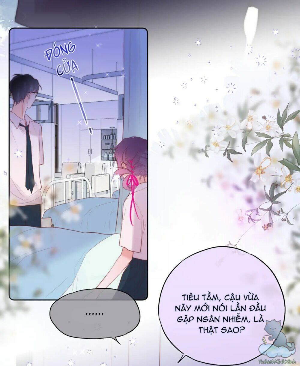 Cạm Bẫy Của Hồ Ly: Chapter 7