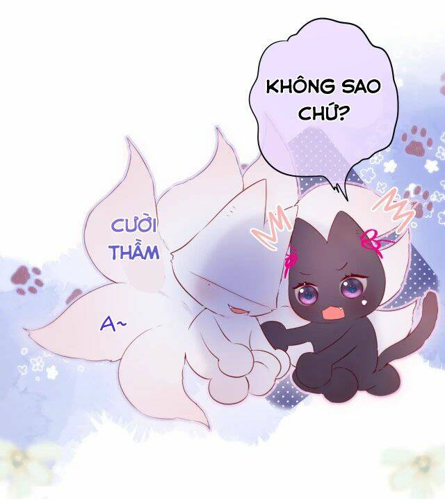 Cạm Bẫy Của Hồ Ly: Chapter 8