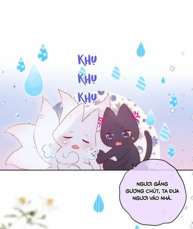 Cạm Bẫy Của Hồ Ly: Chapter 8