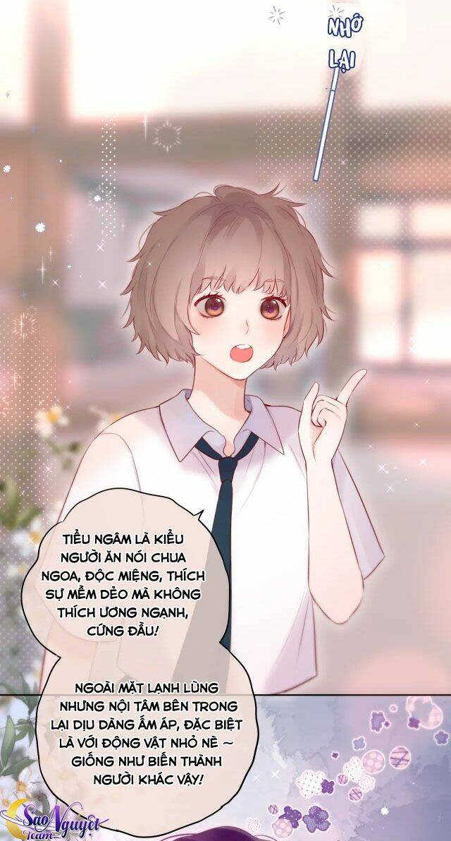 Cạm Bẫy Của Hồ Ly: Chapter 8