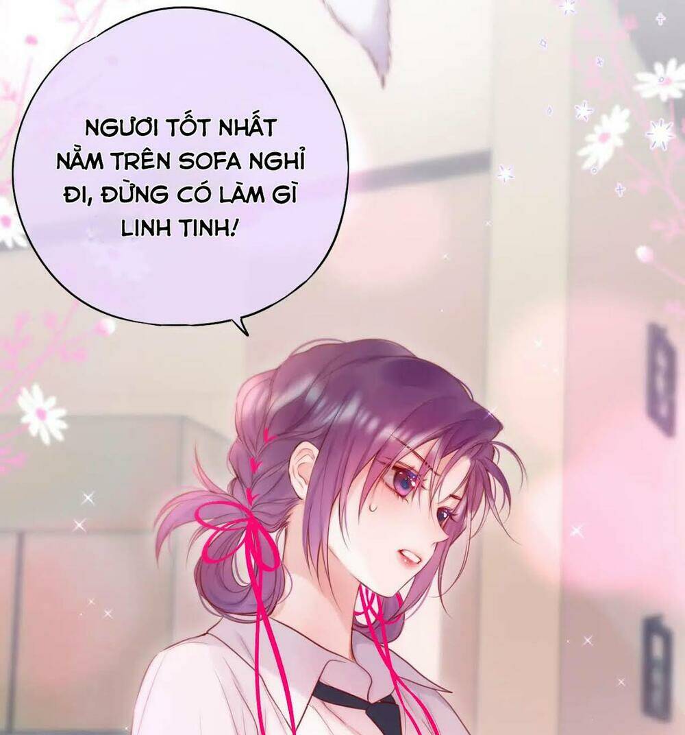 Cạm Bẫy Của Hồ Ly: Chapter 9