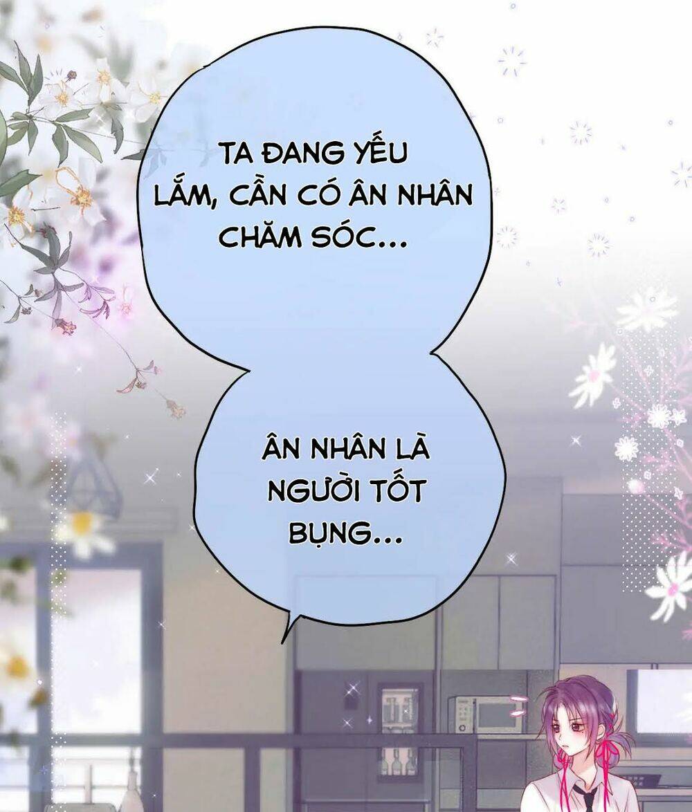 Cạm Bẫy Của Hồ Ly: Chapter 9