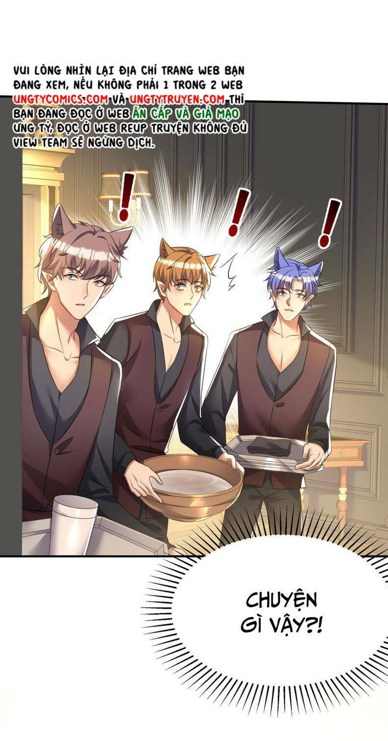Dẫn Sói Vào Phòng: Chapter 115