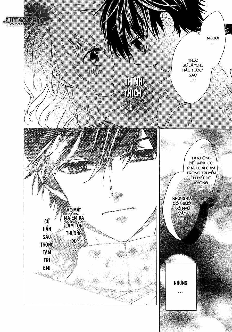 Thiên Mệnh Chi Luyến: Chapter 12