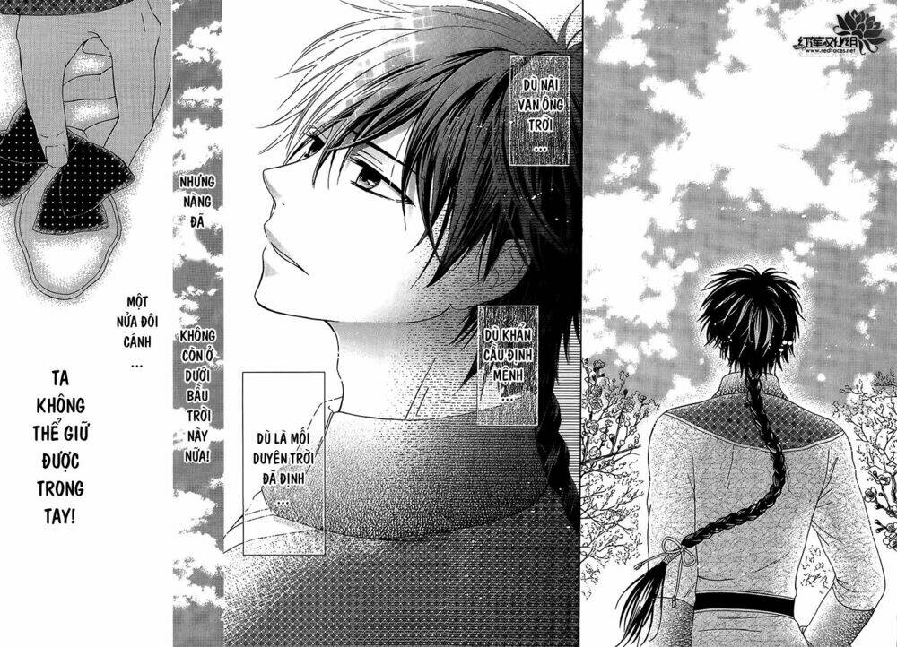 Thiên Mệnh Chi Luyến: Chapter 12
