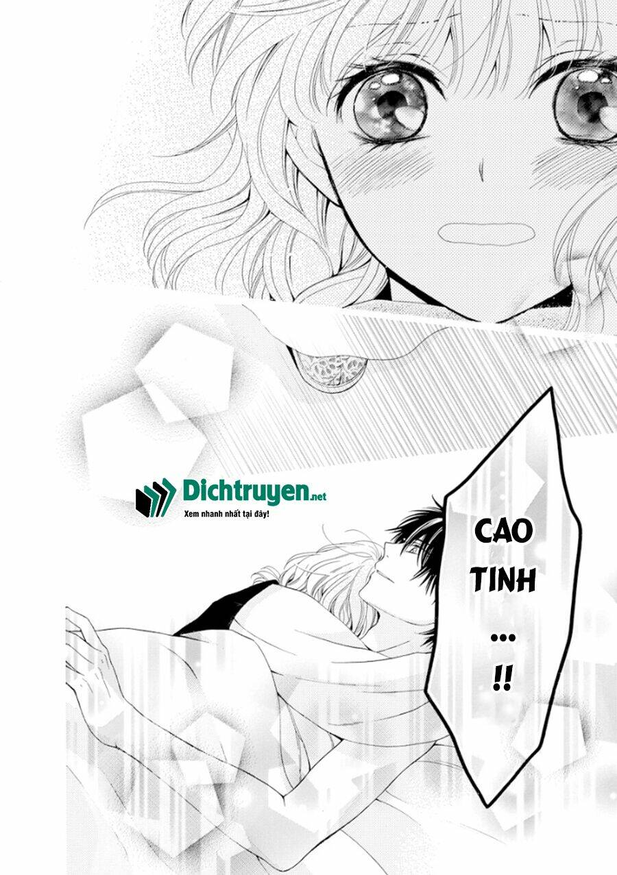 Thiên Mệnh Chi Luyến: Chapter 16