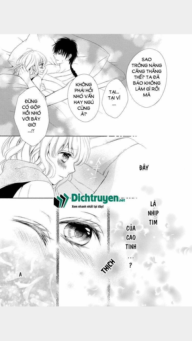 Thiên Mệnh Chi Luyến: Chapter 17