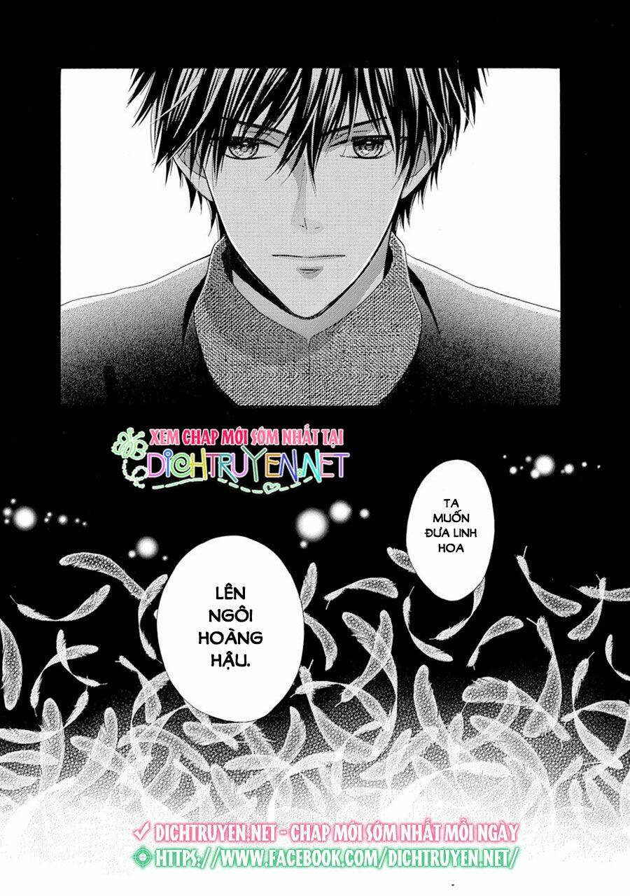 Thiên Mệnh Chi Luyến: Chapter 24