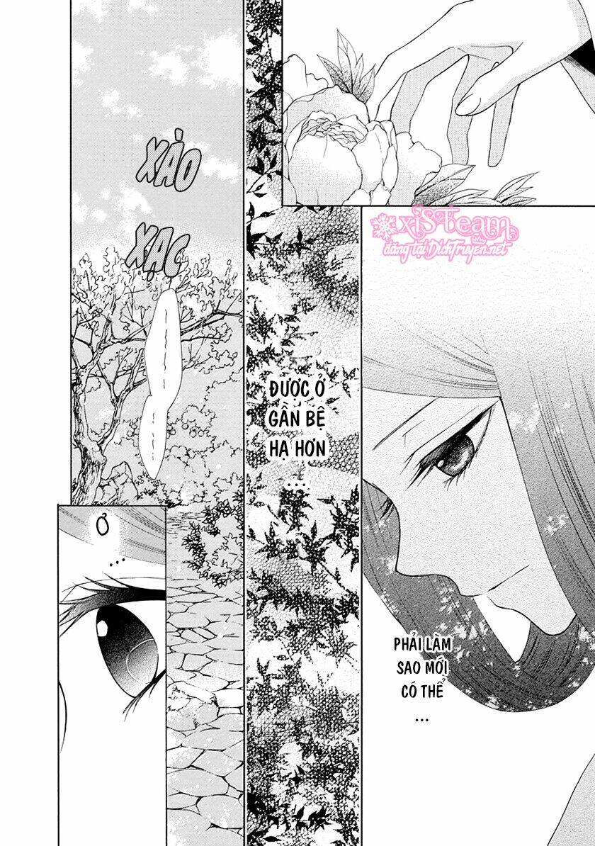 Thiên Mệnh Chi Luyến: Chapter 26