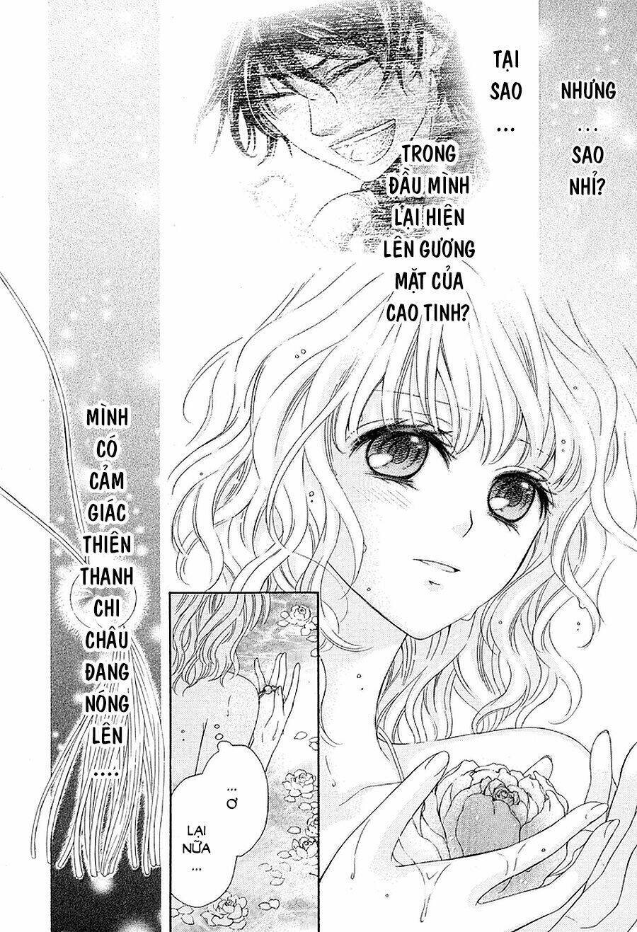 Thiên Mệnh Chi Luyến: Chapter 4