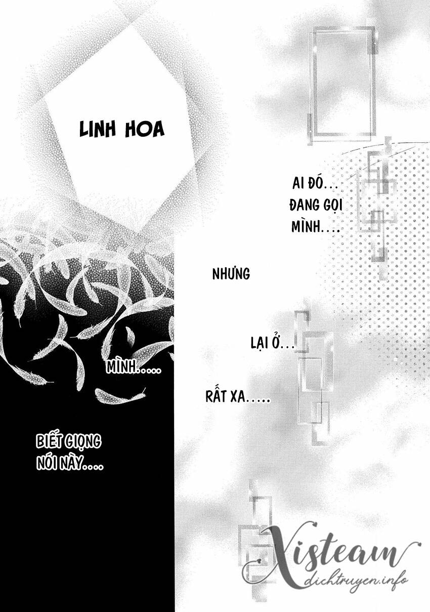Thiên Mệnh Chi Luyến: Chapter 43
