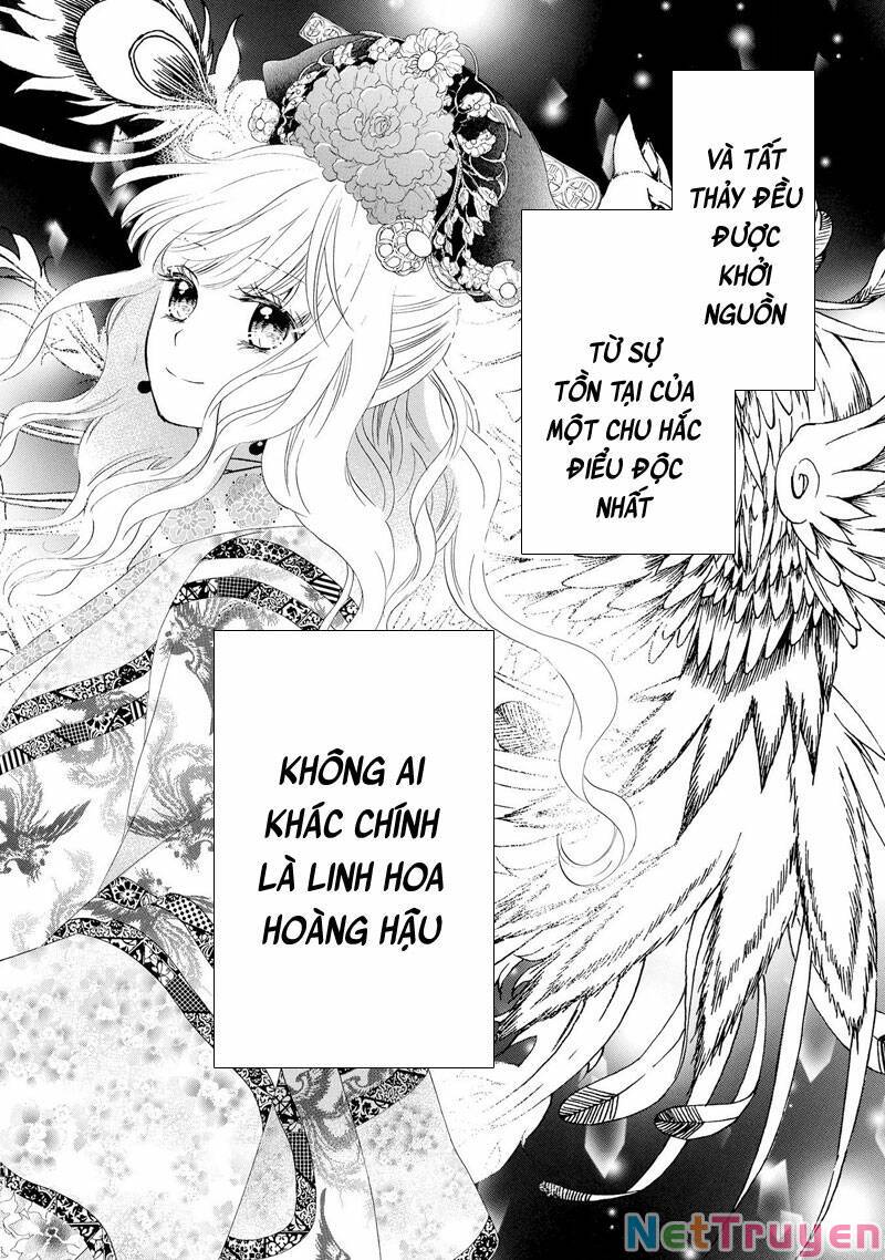 Thiên Mệnh Chi Luyến: Chapter 50: (Hết)