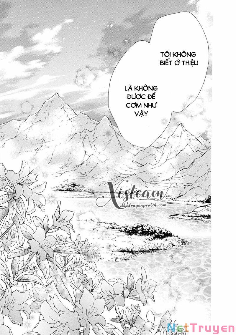Thiên Mệnh Chi Luyến: Chapter 50: (Hết)