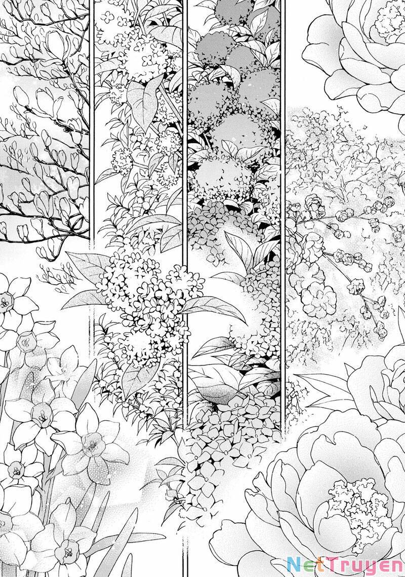 Thiên Mệnh Chi Luyến: Chapter 50: (Hết)
