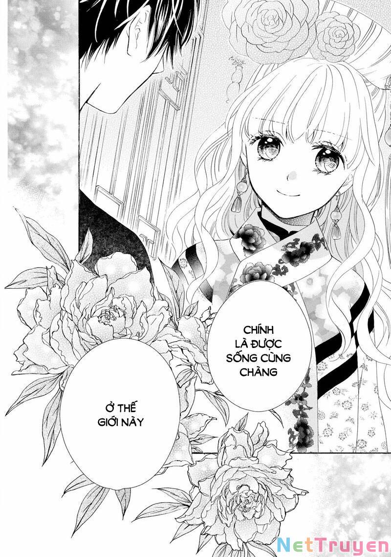 Thiên Mệnh Chi Luyến: Chapter 50: (Hết)
