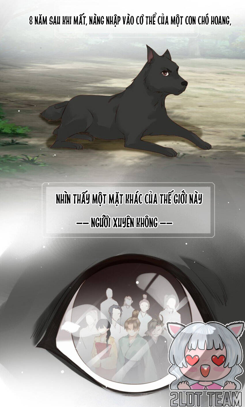 Quận chúa bất tư gia: Chapter 174