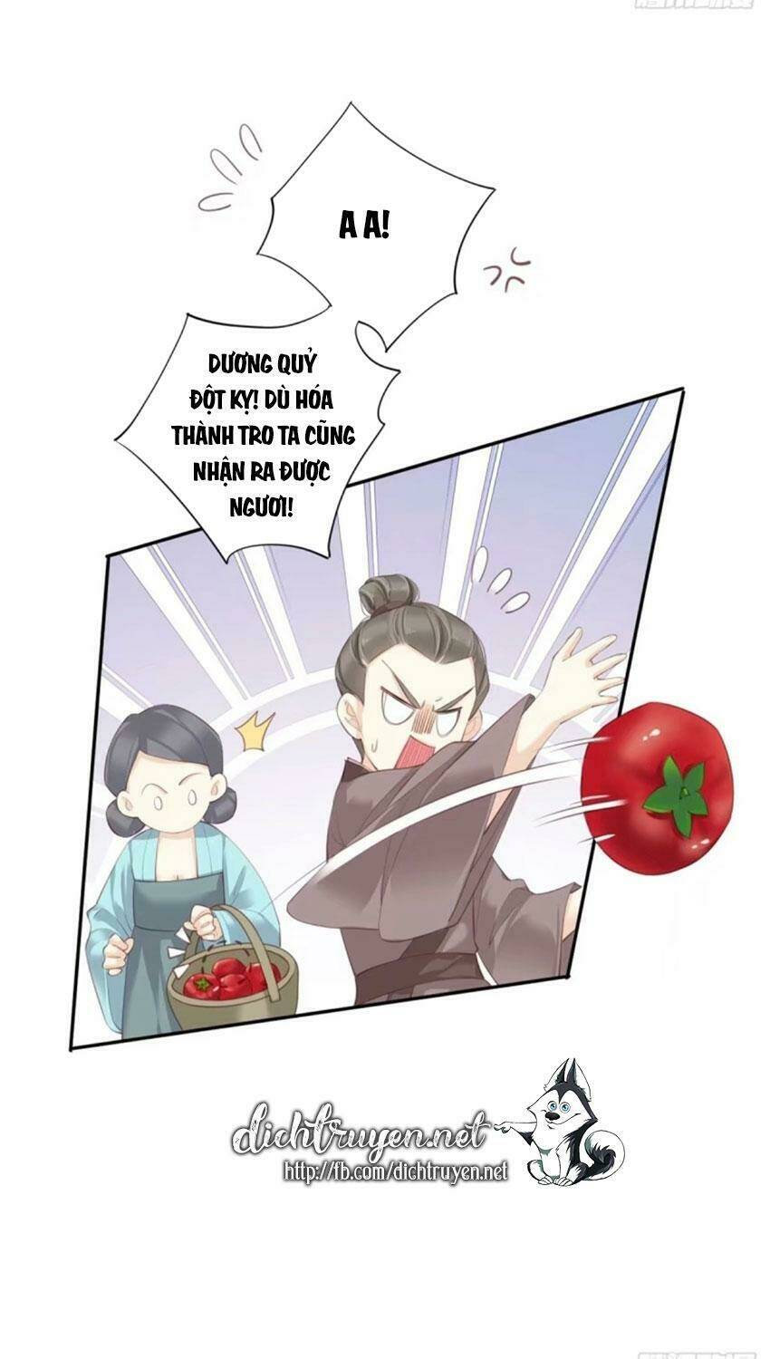 Quận chúa bất tư gia: Chapter 34