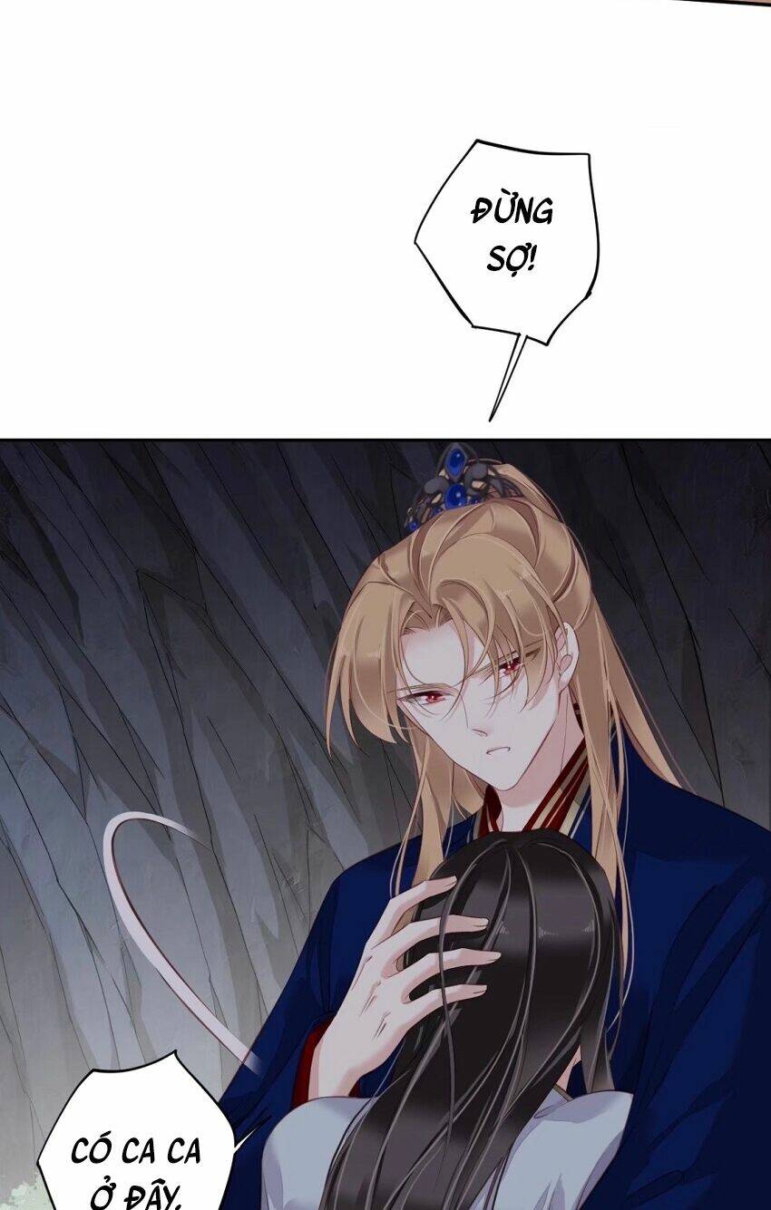 Quận chúa bất tư gia: Chapter 72