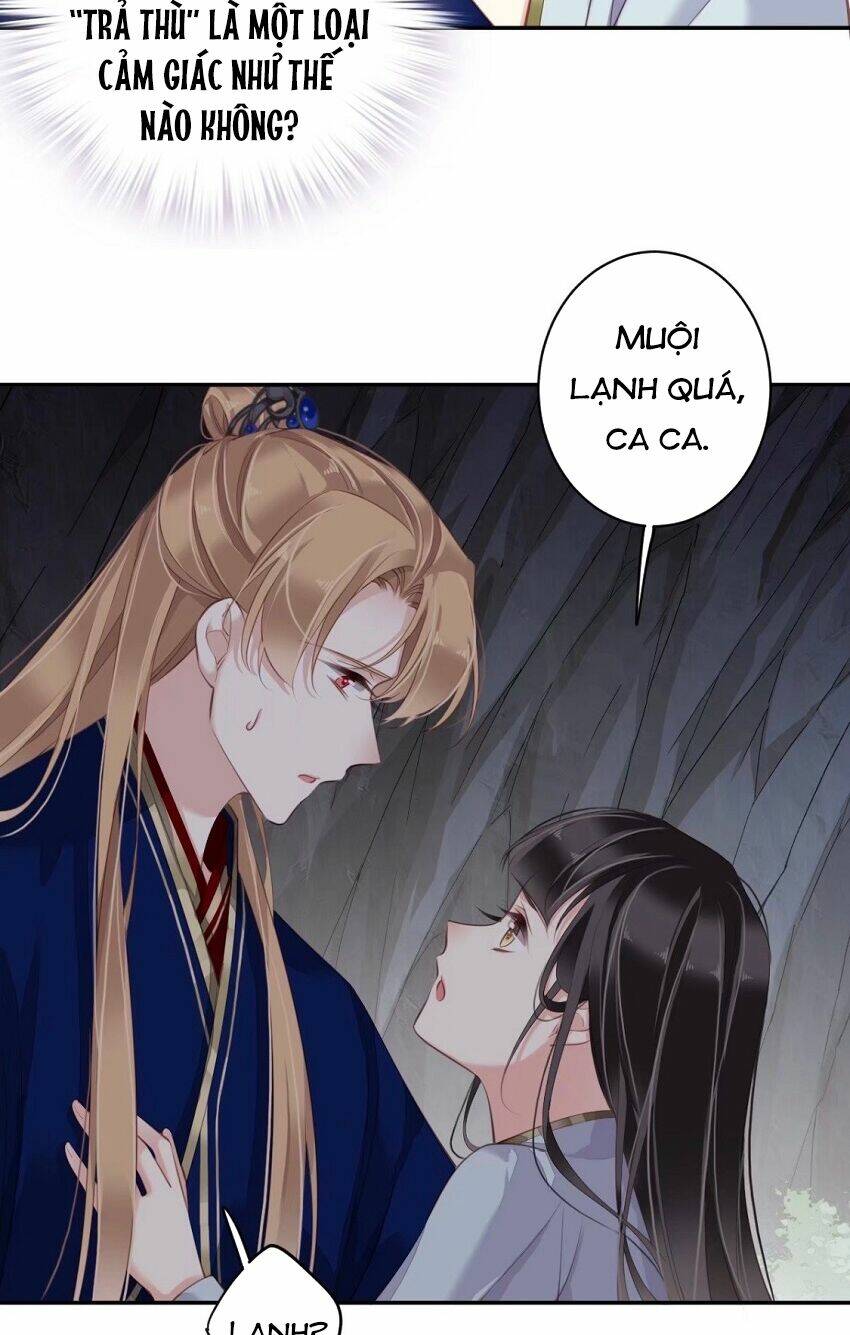 Quận chúa bất tư gia: Chapter 72