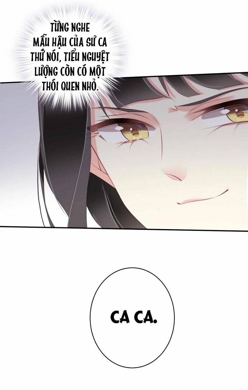 Quận chúa bất tư gia: Chapter 72