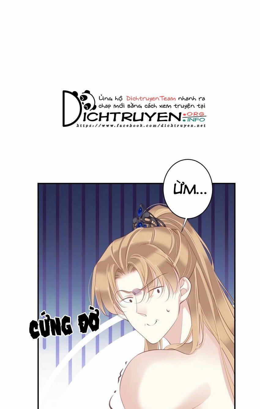 Quận chúa bất tư gia: Chapter 72